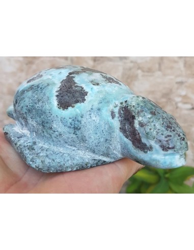 Tortuga larimar 918 g artesanía – Exclusiveminerals
