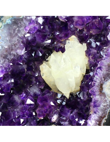 Geoda amatista 96 cm calcita | Exclusiveminerals
