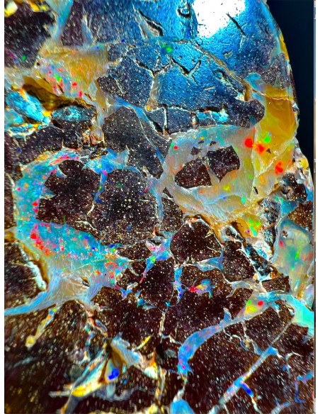 Ópalo boulder 226 g arcoíris | Exclusiveminerals